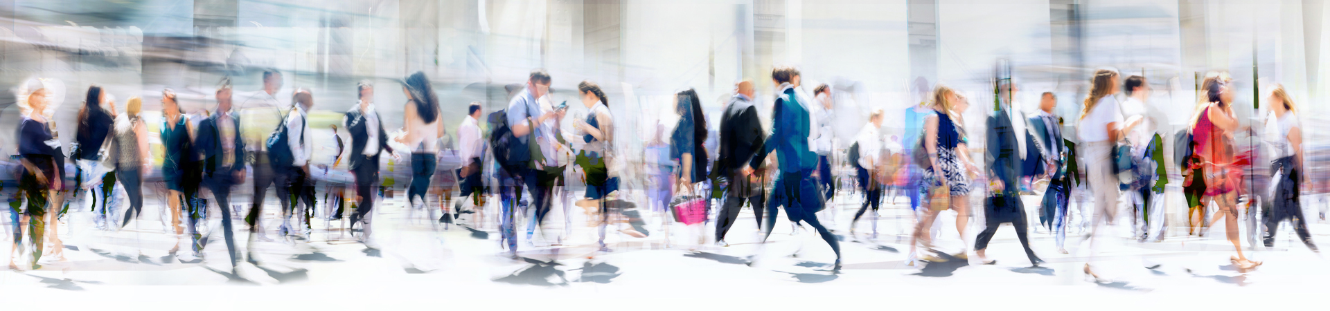 CPO - Association Management